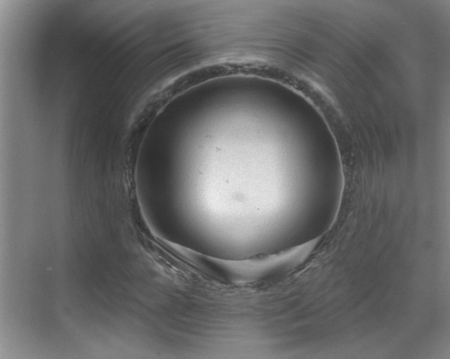 X0000069790920200605191034