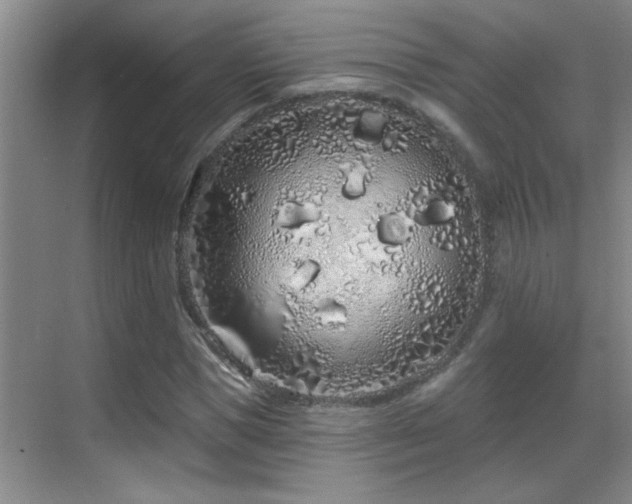 X0000069790921200605191034