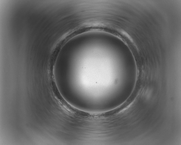 X0000069790922200605191034