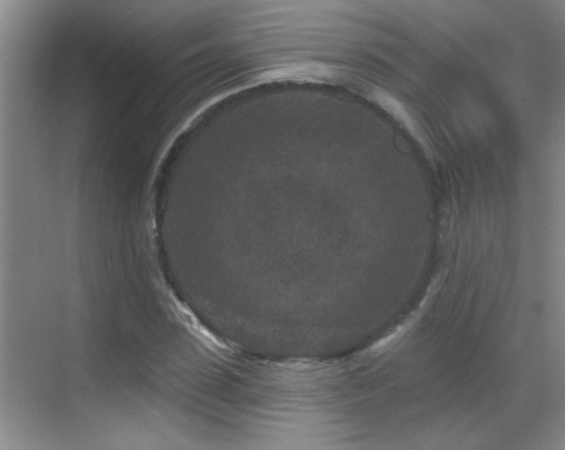 X0000069790923200605191034