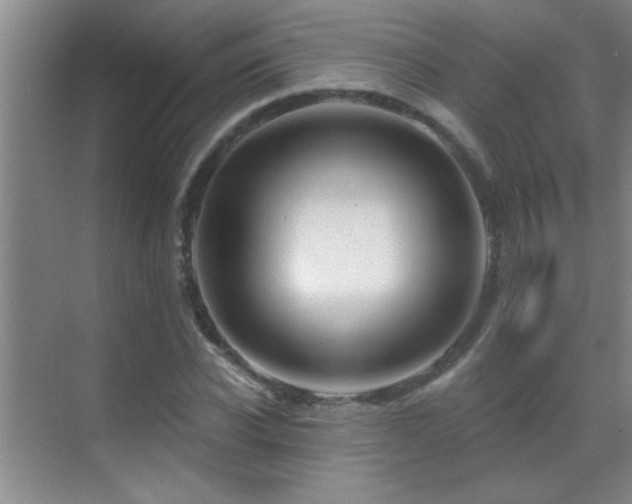 X0000069790926200605191034