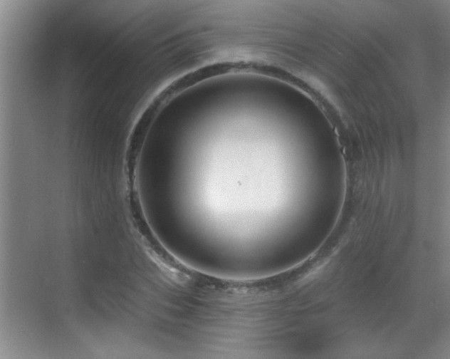 X0000069790927200605191034