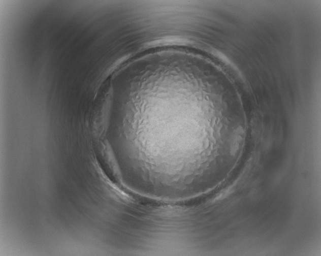 X0000069790929200605191034