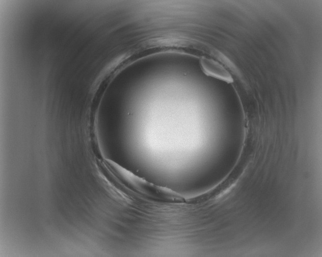 X0000069790930200605191034