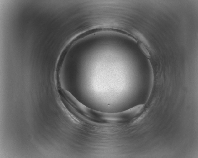 X0000069790932200605191034