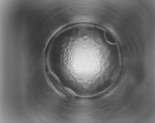 X0000069790933200605191034