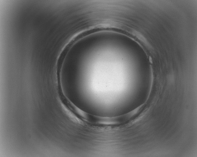 X0000069790934200605191034