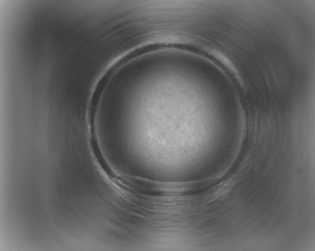 X0000069790935200605191034