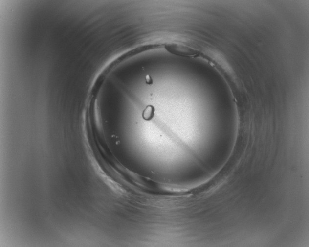 X0000069790936200605191034