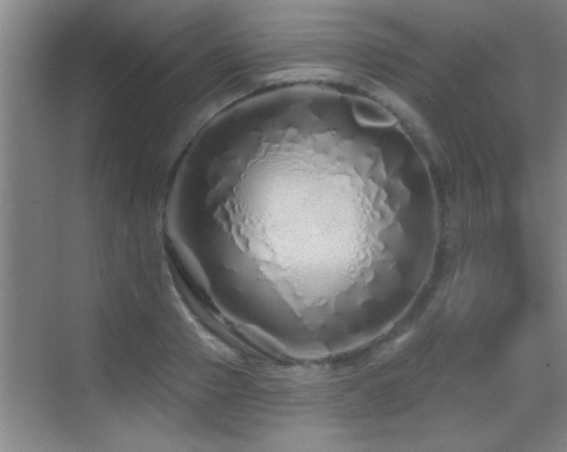 X0000069790937200605191035