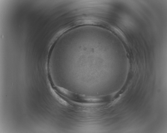 X0000069790938200605191035