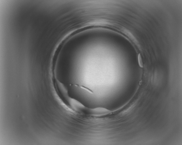 X0000069790939200605191035