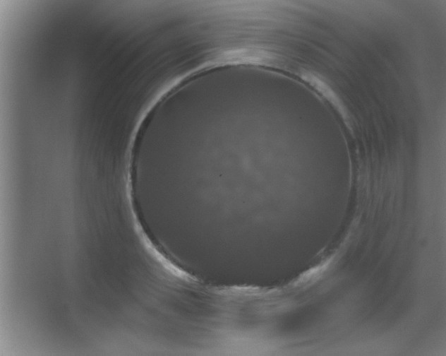 X0000069790941200605191035