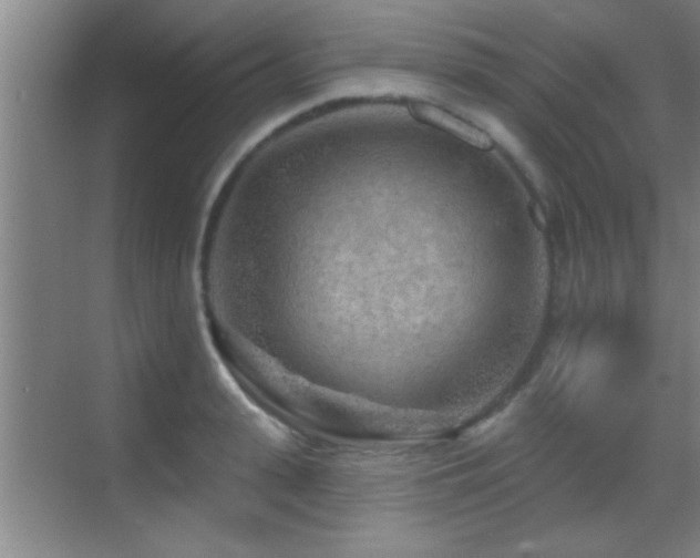 X0000069790943200605191035