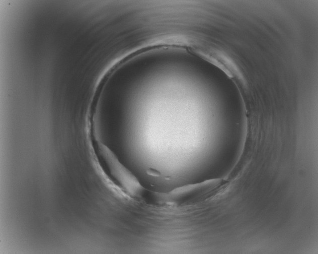 X0000069790944200605191035