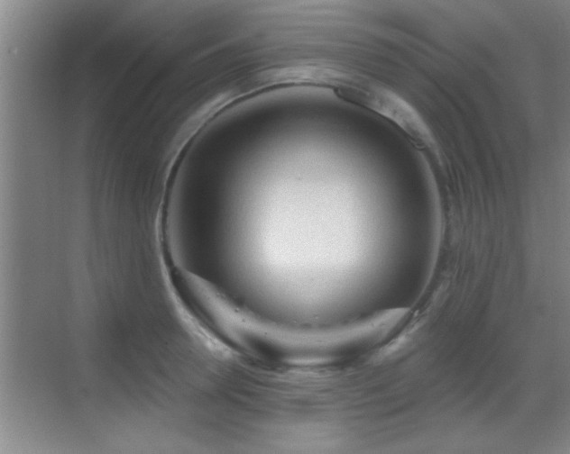 X0000069790946200605191035