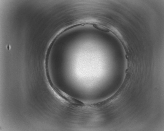 X0000069790947200605191035