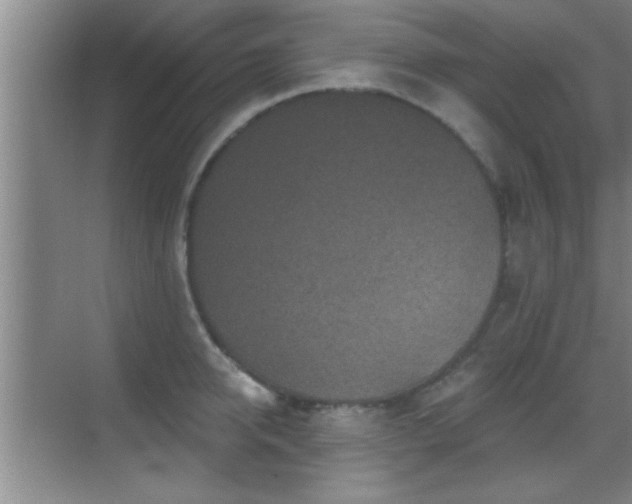 X0000069790950200605191035