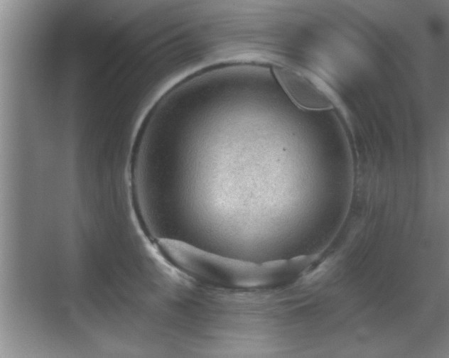 X0000069790951200605191035