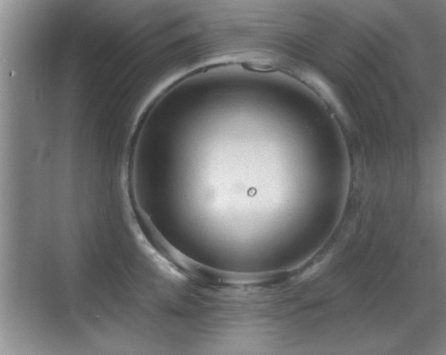 X0000069790952200605191035