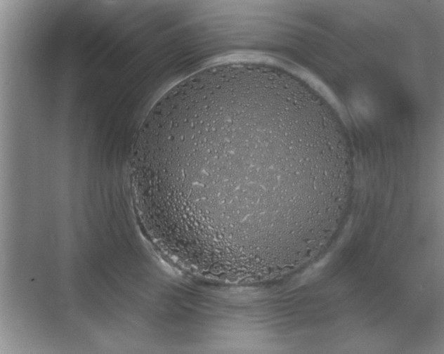 X0000069790953200605191035