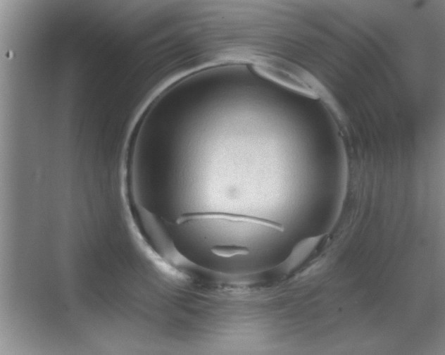 X0000069790955200605191035