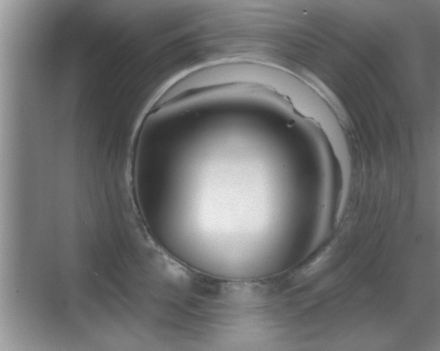 X0000069790956200605191035