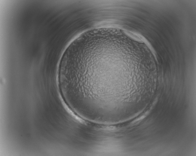 X0000069790957200605191035