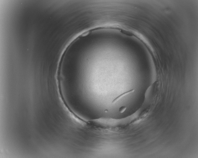 X0000069790959200605191035