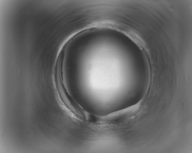 X0000069790960200605191035