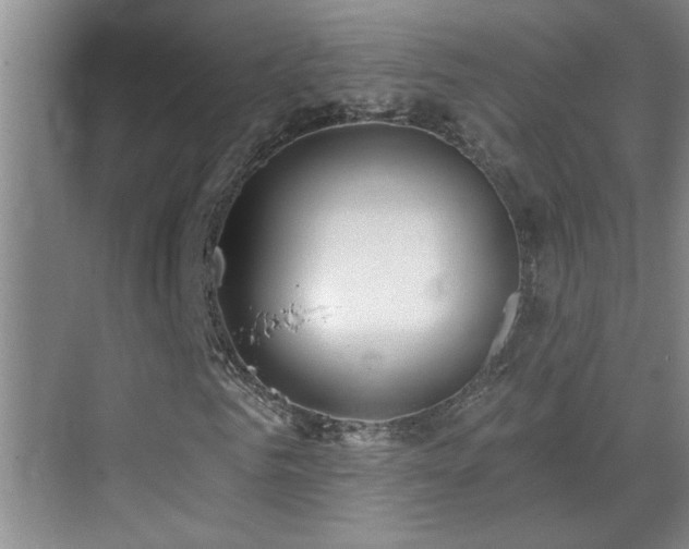 X0000069790961200605191034