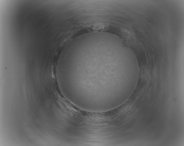 X0000069790962200605191034