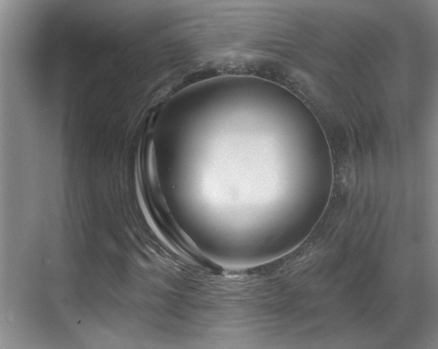 X0000069790964200605191034