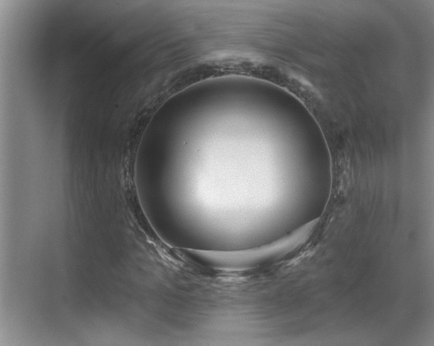 X0000069790965200605191034