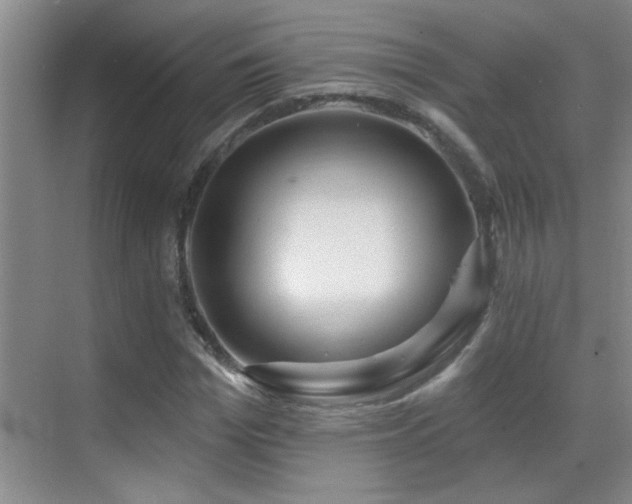 X0000069790969200605191034