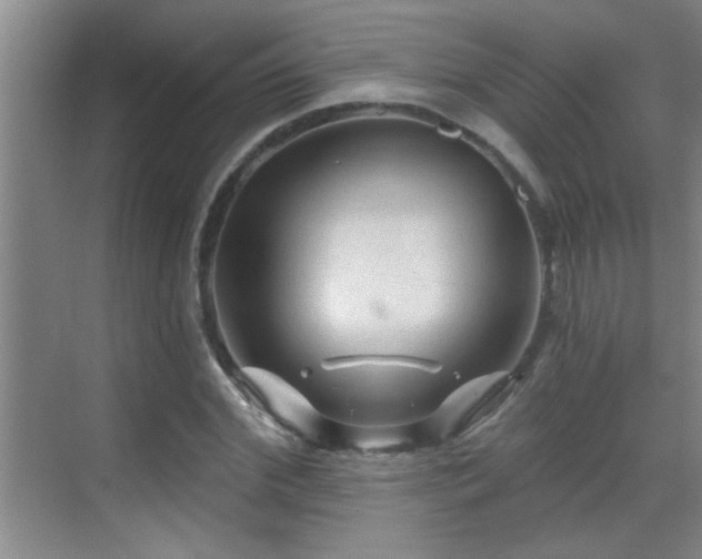 X0000069790972200605191034