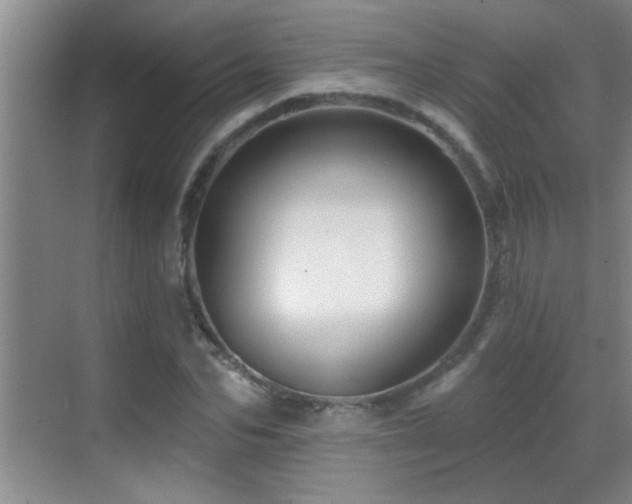 X0000069790974200605191034