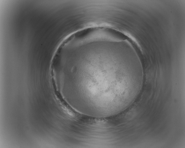 X0000069790975200605191034