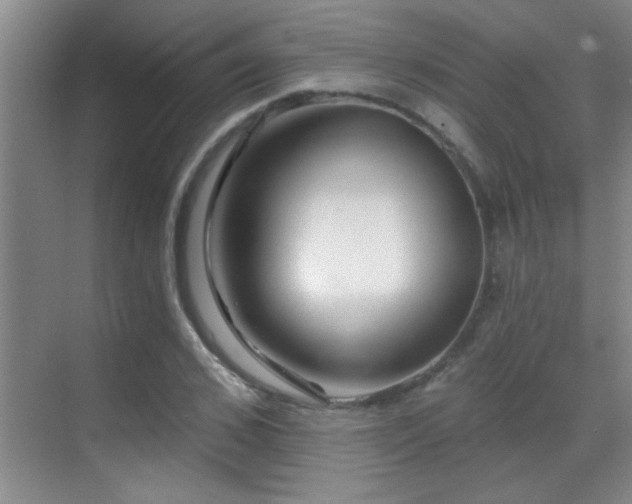 X0000069790976200605191034