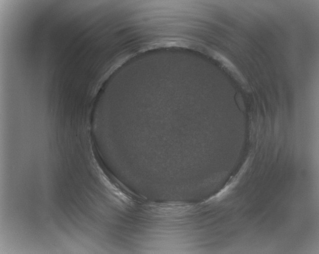 X0000069790977200605191034