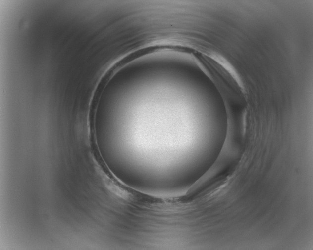 X0000069790980200605191034