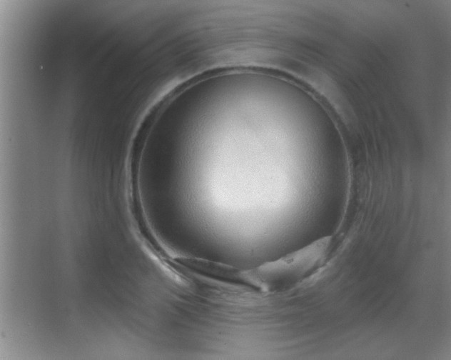 X0000069790982200605191034