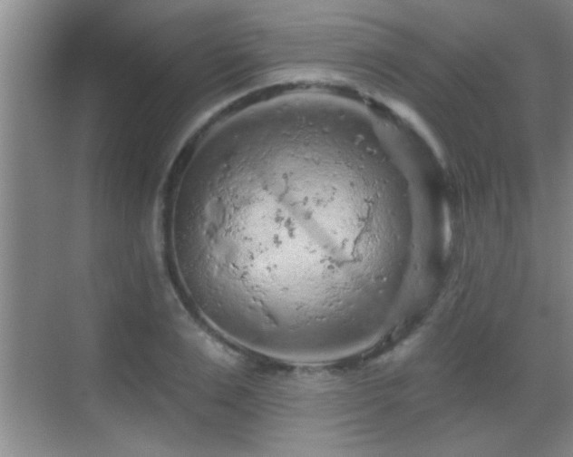 X0000069790983200605191034