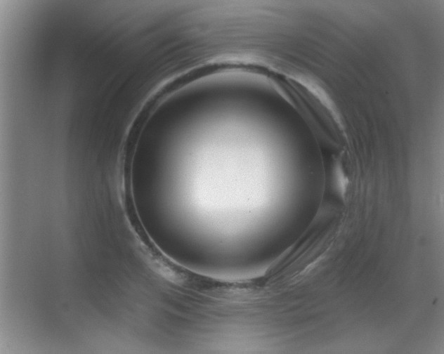 X0000069790984200605191034