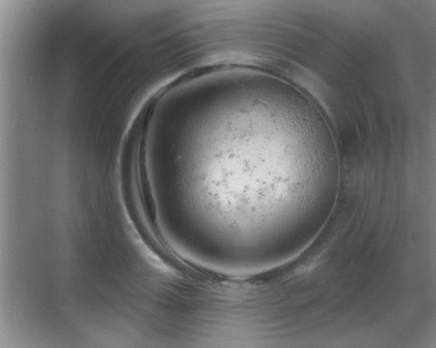 X0000069790987200605191034