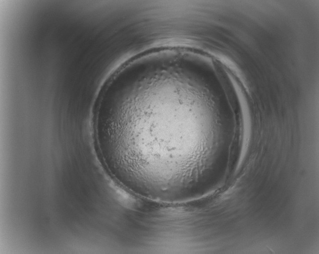 X0000069790990200605191034