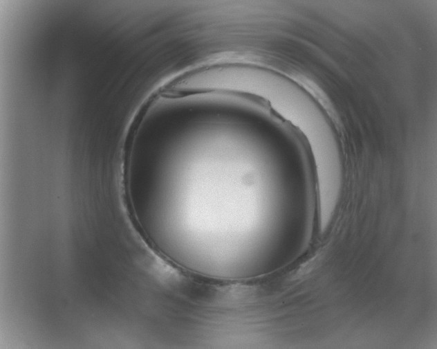 X0000069790992200605191034