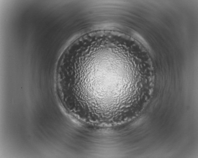 X0000069790994200605191034