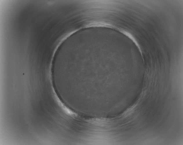 X0000069790995200605191034