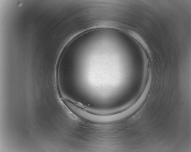 X0000069790996200605191033